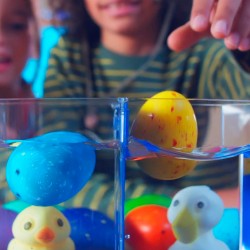 Растущая игрушка в яйце - Птички (12 шт, в дисп) фото-6