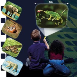 Фонарик-проектор Brainstorm – В мире животных (3 диска, 24 картинки) фото-4