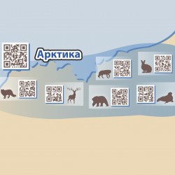 Навчальний Ігровий Набір - Тварини Арктики фото-3