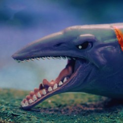 Стретч-іграшка у вигляді тварини Legend of animals – Морські доісторичні хижаки фото-6