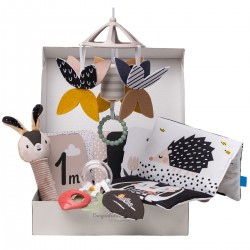 Подарочный набор игрушек для новорожденного – Черно-белая гармония