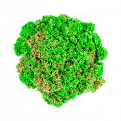 Набор пескадля детскоготворчества -KINETICSAND РАКУШКА ЗЕЛЕНАЯ фото-3