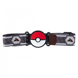 Ігровой набір Pokemon W15 - Пояс з покеболами Кубон фото-3