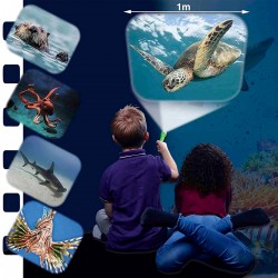 Ліхтарик-проектор Brainstorm – Жителі морів (3 диски, 24 зображення) фото-3