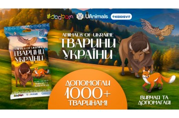 Новини | kiddisvit